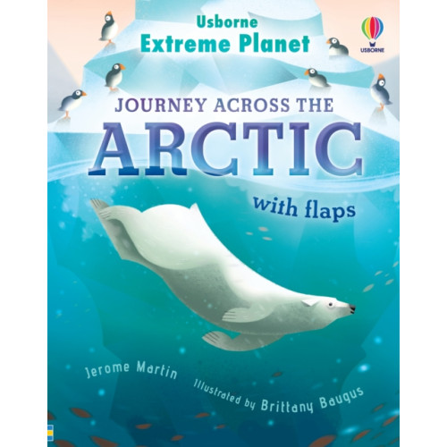 Usborne Publishing Ltd Extreme Planet: Journey Across The Arctic (bok, board book, eng)