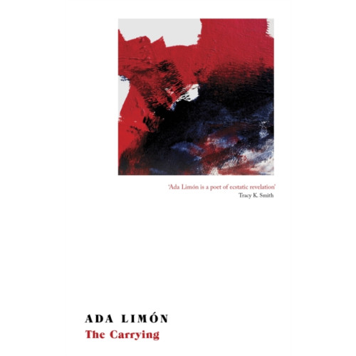 Little, Brown Book Group The Carrying (häftad, eng)
