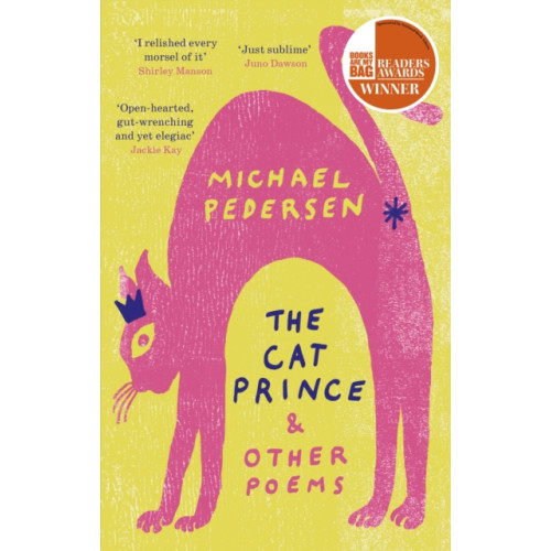 Little, Brown Book Group The Cat Prince (häftad, eng)
