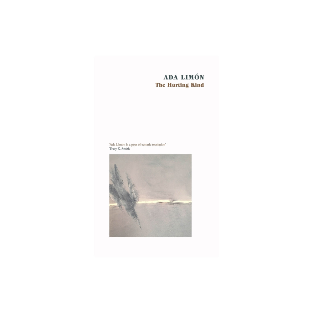 Produktbild för The Hurting Kind (häftad, eng)