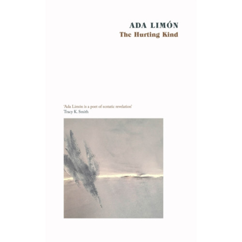 Little, Brown Book Group The Hurting Kind (häftad, eng)