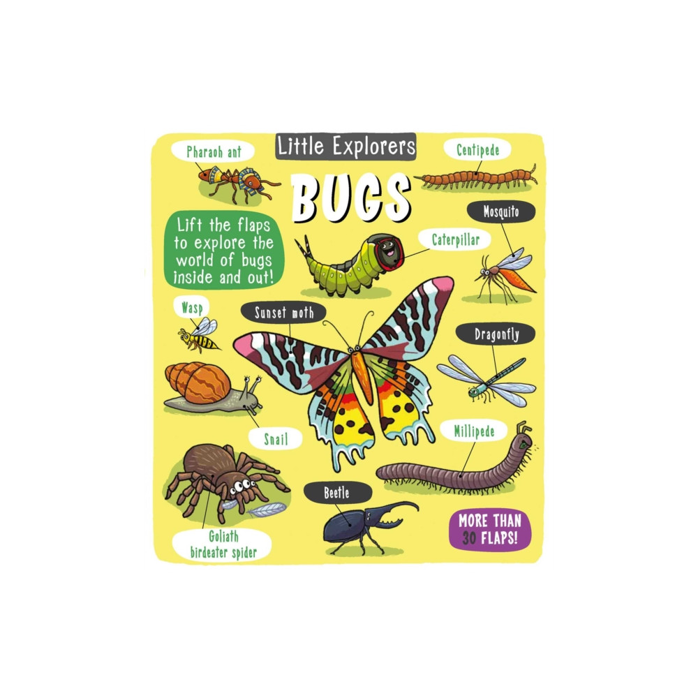 Produktbild för Little Explorers: Bugs (inbunden, eng)
