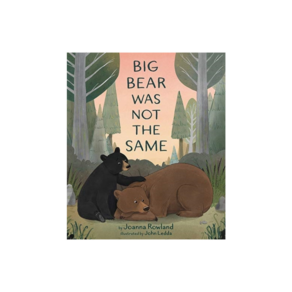Produktbild för Big Bear Was Not the Same (inbunden, eng)