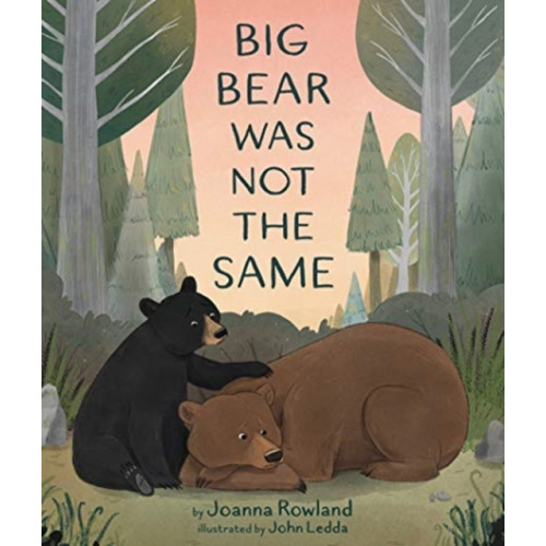 Augsburg Fortress Publishers Big Bear Was Not the Same (inbunden, eng)