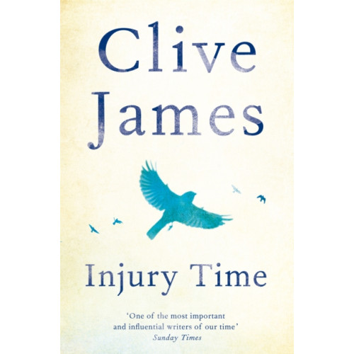 Pan Macmillan Injury Time (häftad, eng)