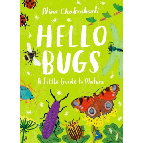 Hachette Children's Group Little Guides to Nature: Hello Bugs (inbunden, eng)