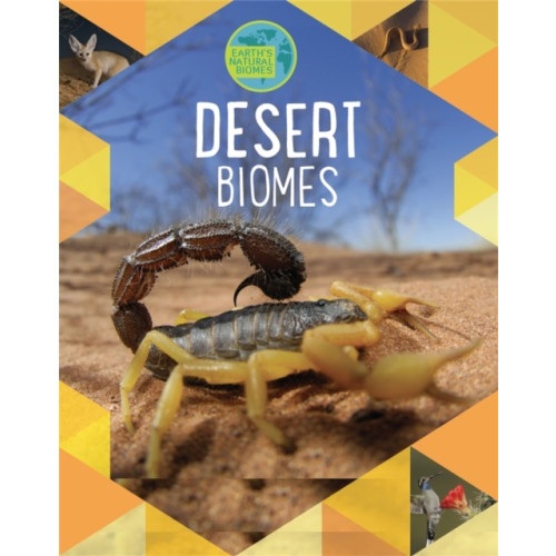 Hachette Children's Group Earth's Natural Biomes: Deserts (häftad, eng)