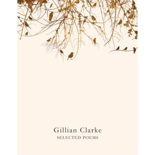 Pan Macmillan Selected Poems (häftad, eng)
