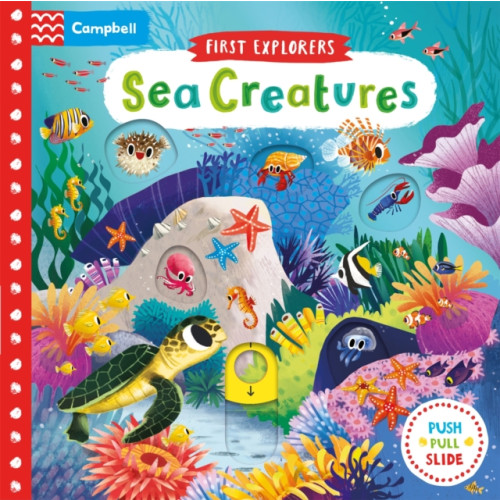 Pan Macmillan Sea Creatures (bok, board book, eng)