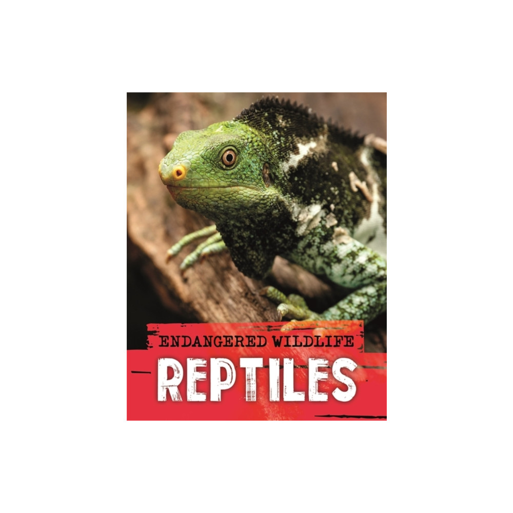 Produktbild för Endangered Wildlife: Rescuing Reptiles (häftad, eng)