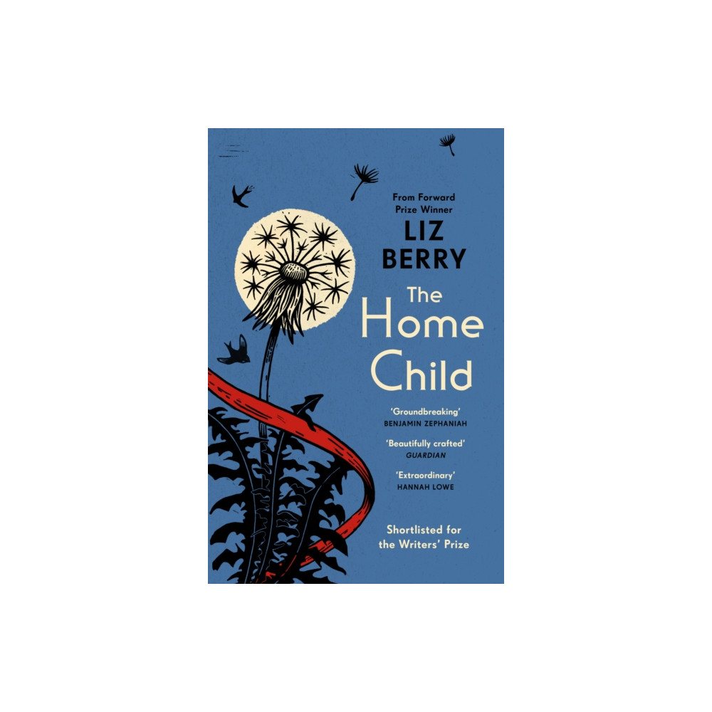 Produktbild för The Home Child (häftad, eng)