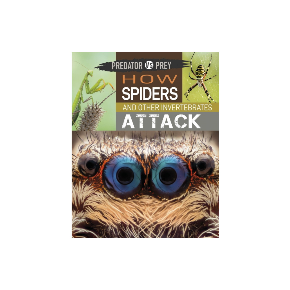 Produktbild för Predator vs Prey: How Spiders and other Invertebrates Attack (häftad, eng)