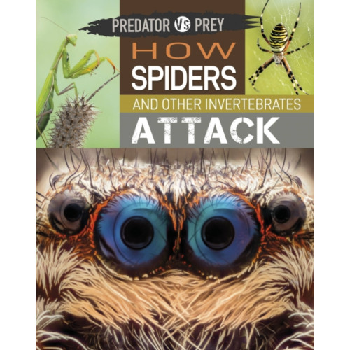 Hachette Children's Group Predator vs Prey: How Spiders and other Invertebrates Attack (häftad, eng)
