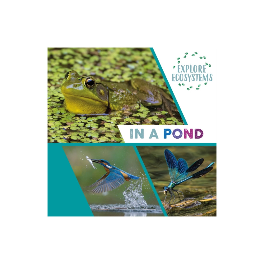 Produktbild för Explore Ecosystems: In a Pond (inbunden, eng)