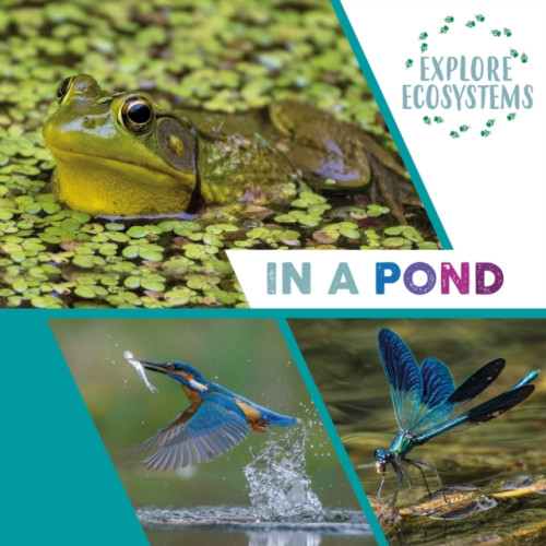 Hachette Children's Group Explore Ecosystems: In a Pond (inbunden, eng)