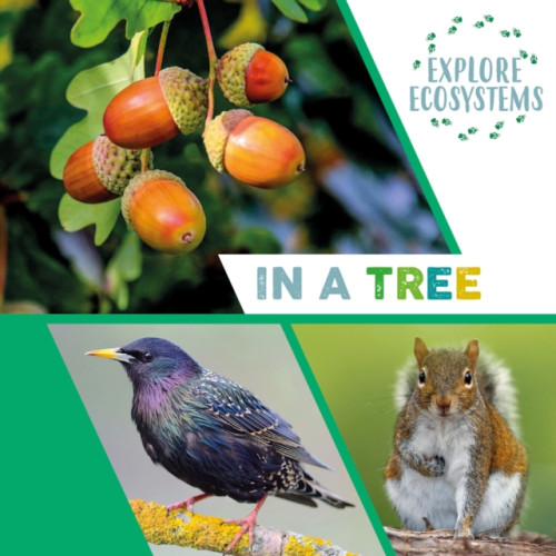 Hachette Children's Group Explore Ecosystems: In a Tree (inbunden, eng)