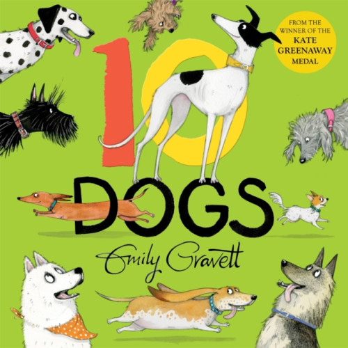 Pan Macmillan 10 Dogs (inbunden, eng)