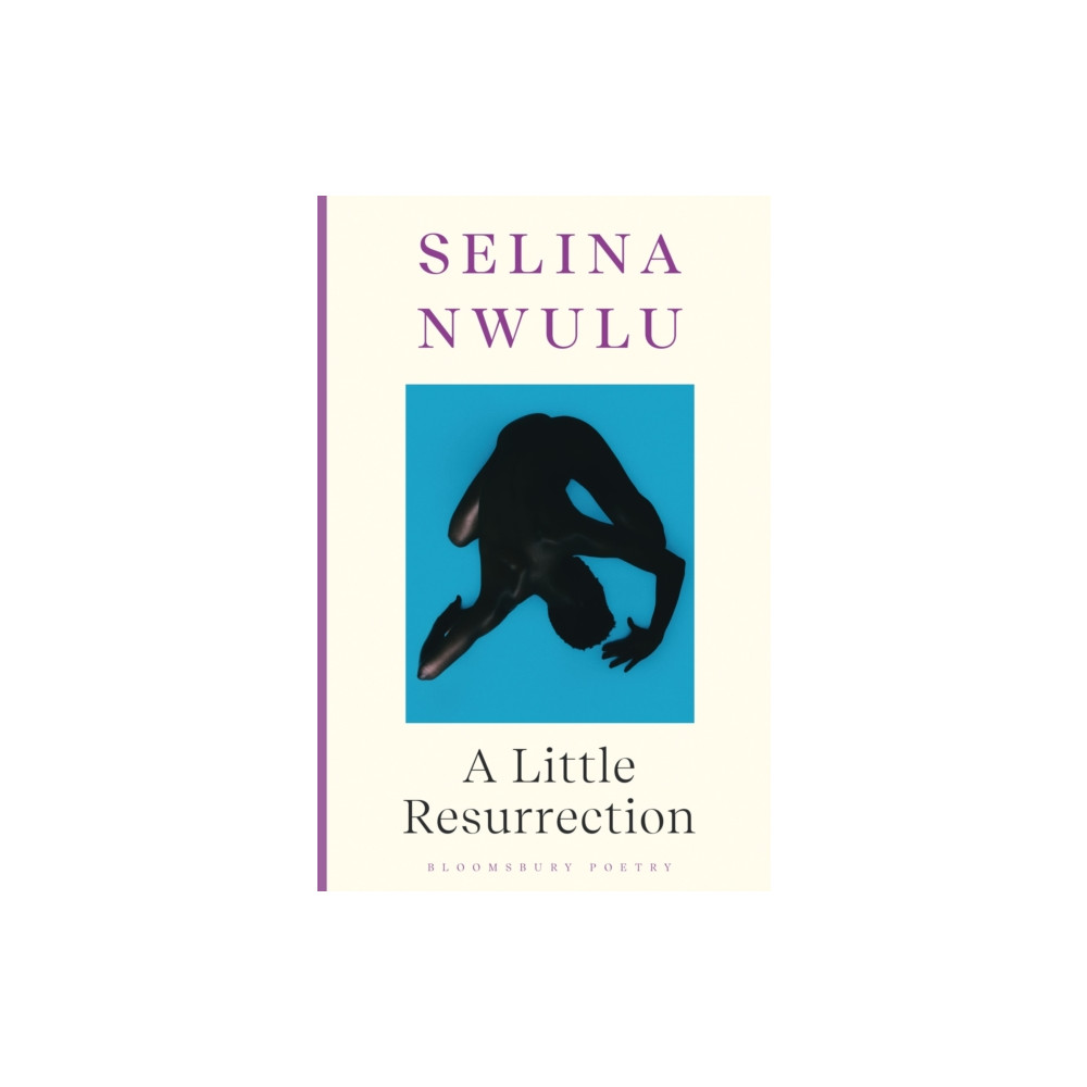 Produktbild för A Little Resurrection (häftad, eng)