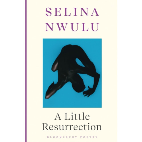 Bloomsbury Publishing PLC A Little Resurrection (häftad, eng)