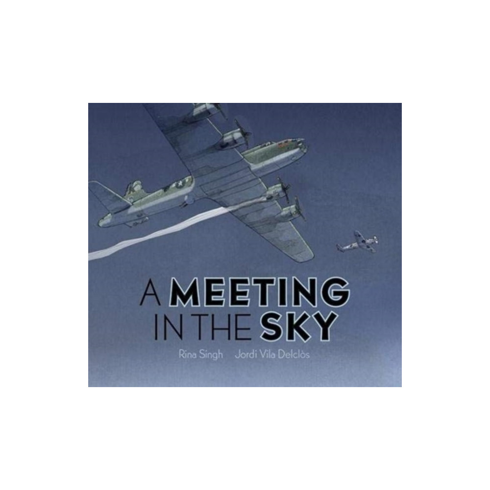 Produktbild för A Meeting in the Sky (inbunden, eng)