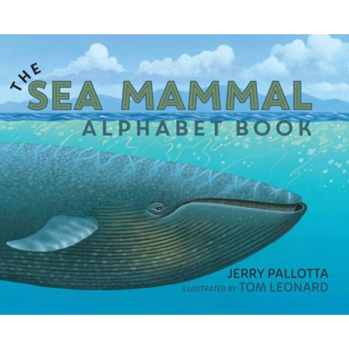 Charlesbridge Publishing,U.S. The Sea Mammal Alphabet Book (häftad, eng)