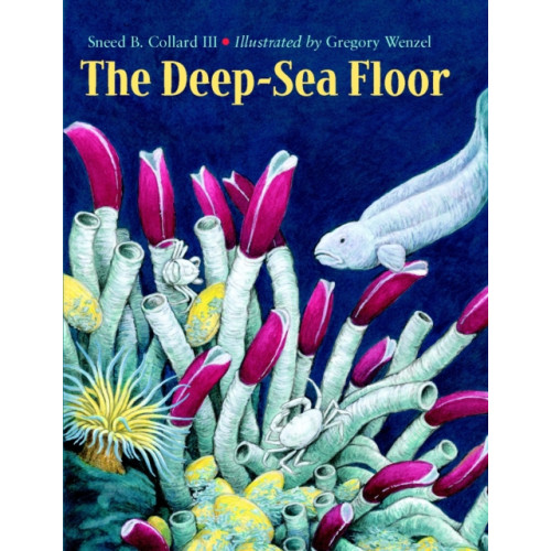 Charlesbridge Publishing,U.S. The Deep-Sea Floor (häftad, eng)