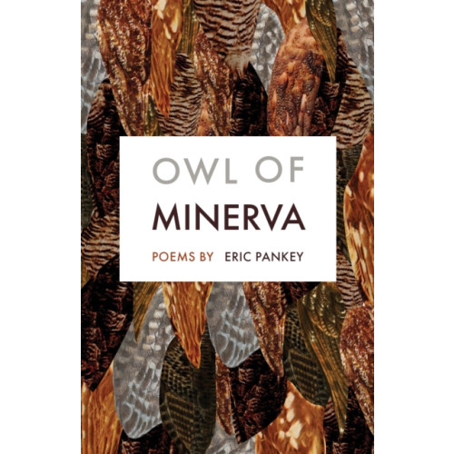 Milkweed Editions Owl of Minerva (häftad, eng)