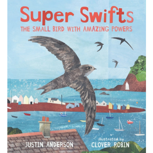 Walker Books Ltd Super Swifts: The Small Bird With Amazing Powers (inbunden, eng)