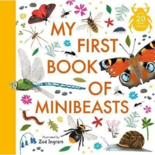 Walker Books Ltd My First Book of Minibeasts (inbunden, eng)