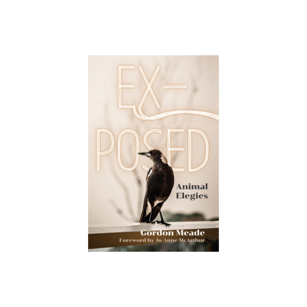 Produktbild för Ex-Posed (inbunden, eng)