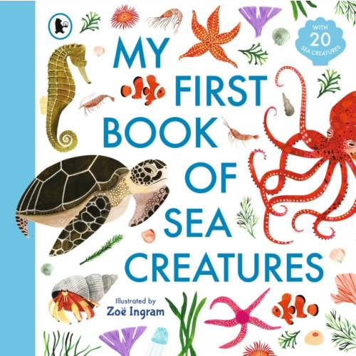 Walker Books Ltd My First Book of Sea Creatures (häftad, eng)