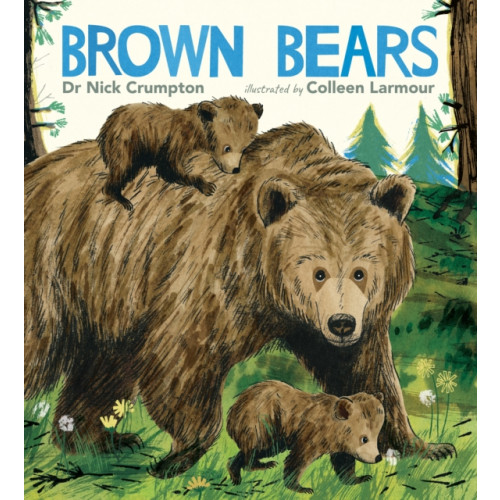 Walker Books Ltd Brown Bears (inbunden, eng)