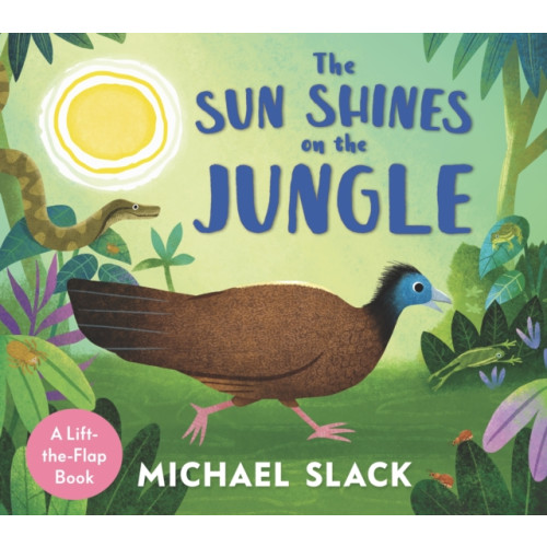 Walker Books Ltd The Sun Shines on the Jungle (bok, board book, eng)