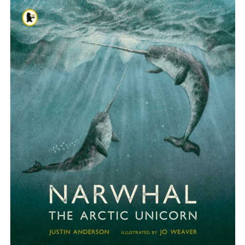 Walker Books Ltd Narwhal: The Arctic Unicorn (häftad, eng)