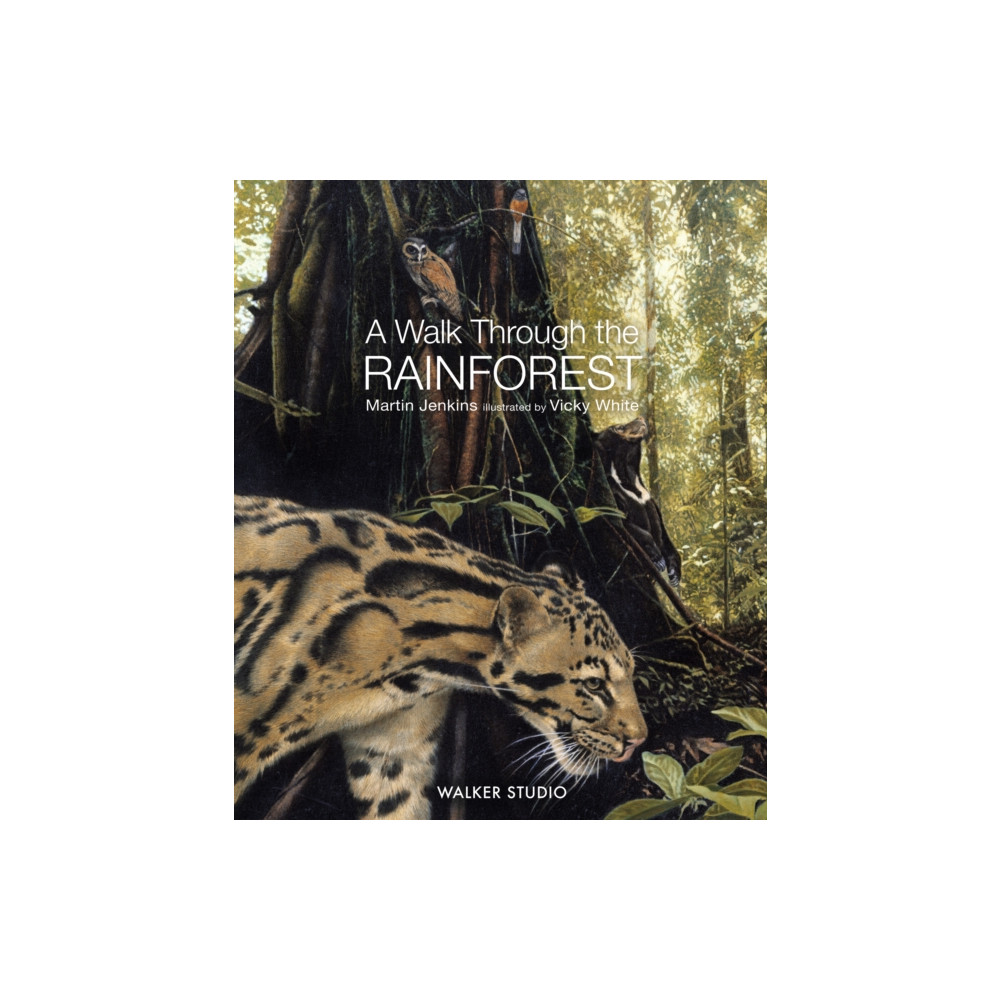 Produktbild för A Walk Through the Rainforest (häftad, eng)