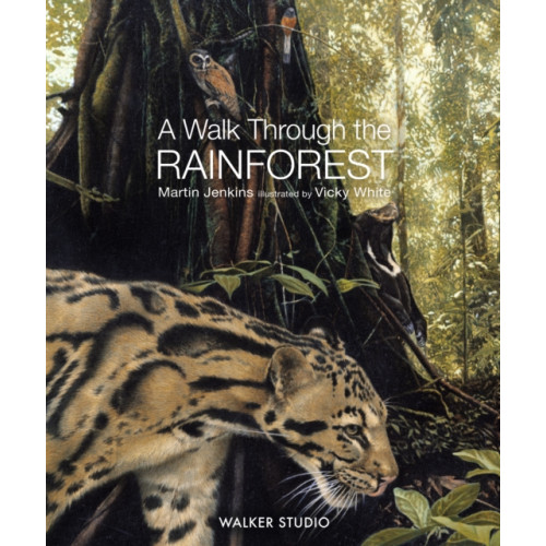 Walker Books Ltd A Walk Through the Rainforest (häftad, eng)