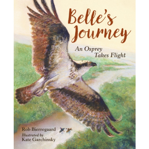 Charlesbridge Publishing,U.S. Belle's Journey (inbunden, eng)