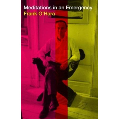 Grove Press / Atlantic Monthly Press Meditations in an Emergency (inbunden, eng)