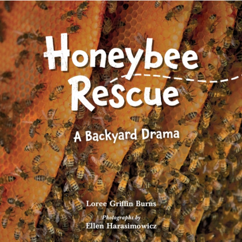 Charlesbridge Publishing,U.S. Honeybee Rescue (inbunden, eng)