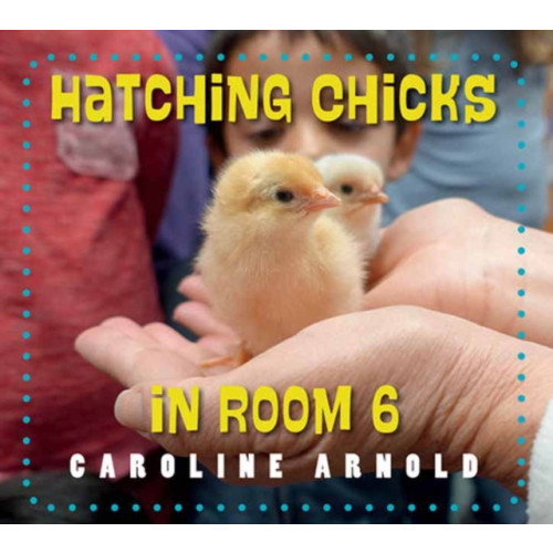 Charlesbridge Publishing,U.S. Hatching Chicks in Room 6 (häftad, eng)