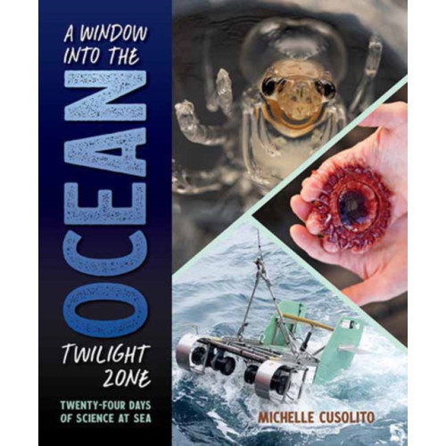 Charlesbridge Publishing,U.S. A Window into the Ocean Twilight Zone (inbunden, eng)