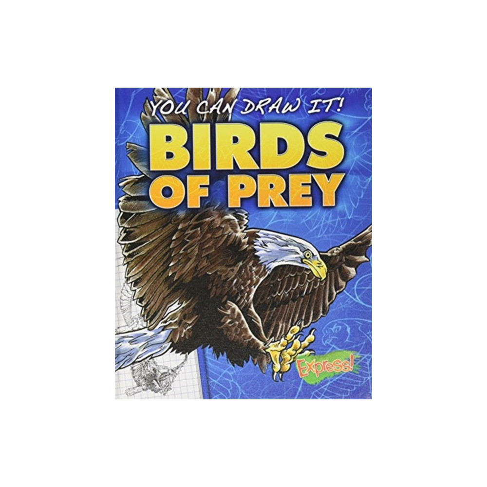 Produktbild för Birds of Prey (inbunden, eng)