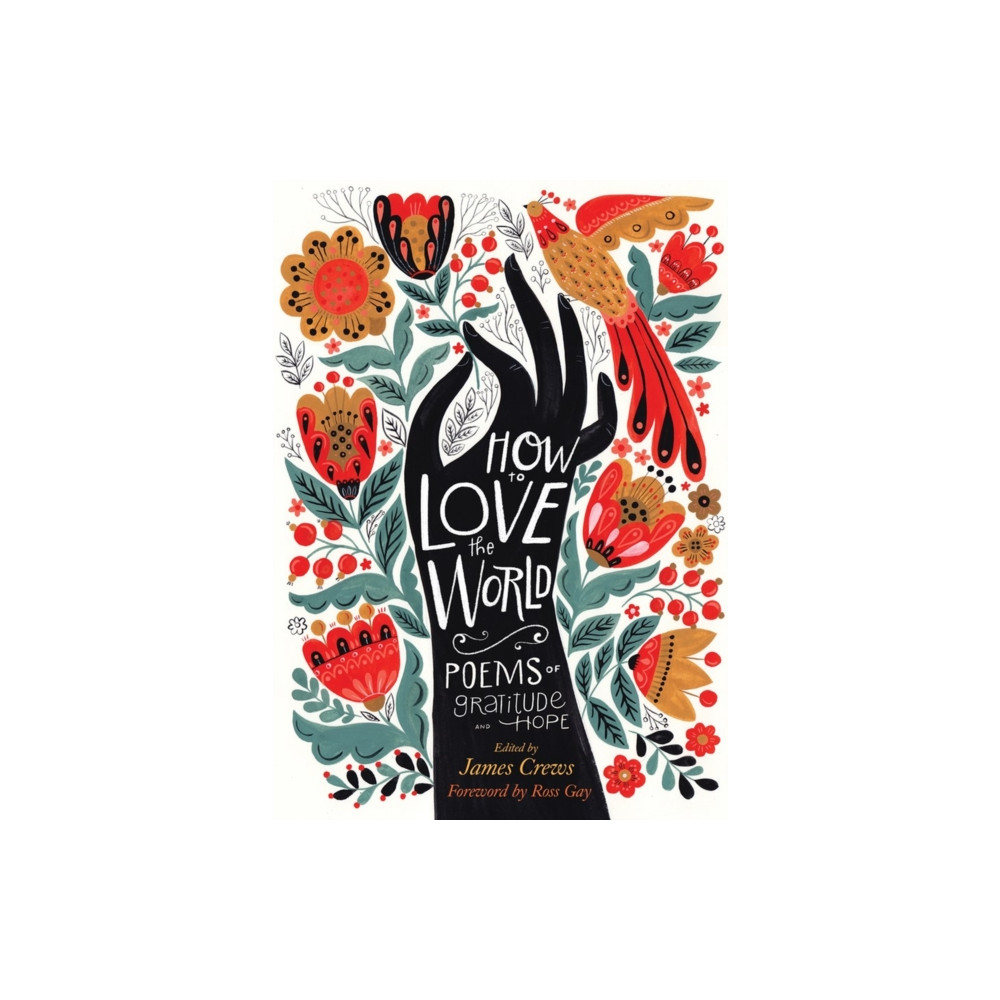 Produktbild för How to Love the World (häftad, eng)