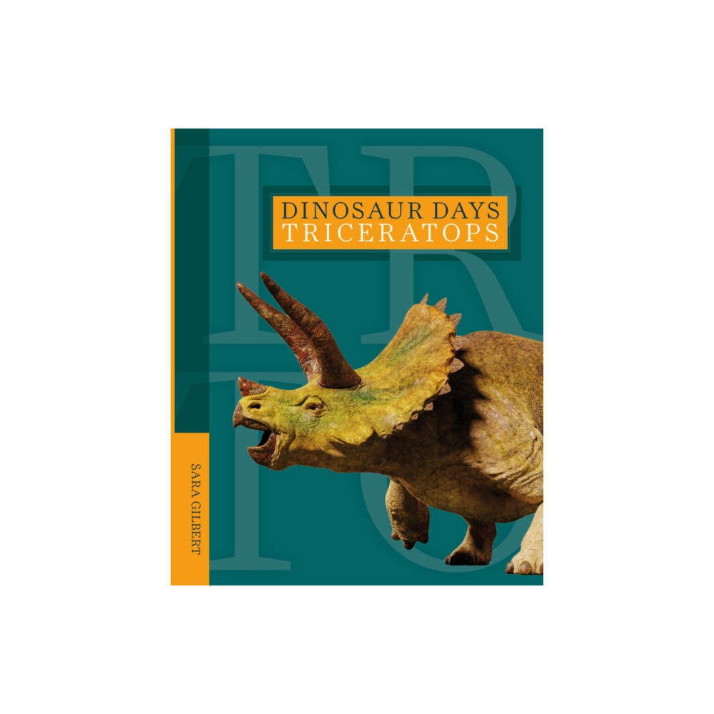 Produktbild för Dinosaur Days: Triceratops (häftad, eng)