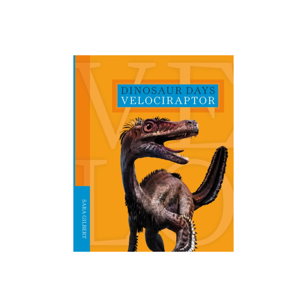 Produktbild för Dinosaur Days: Velociraptor (häftad, eng)