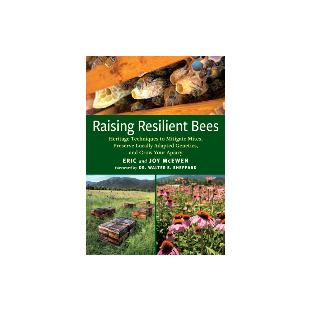 Produktbild för Raising Resilient Bees (häftad, eng)