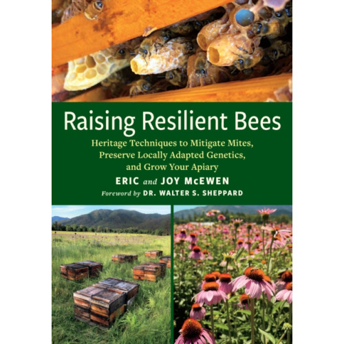 Chelsea Green Publishing Co Raising Resilient Bees (häftad, eng)