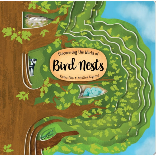 Fox Chapel Publishing Discovering the World of Bird Nests (bok, board book)