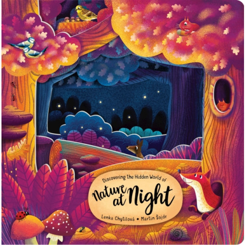 Fox Chapel Publishing Discovering the Hidden World of Nature at Night (bok, board book)