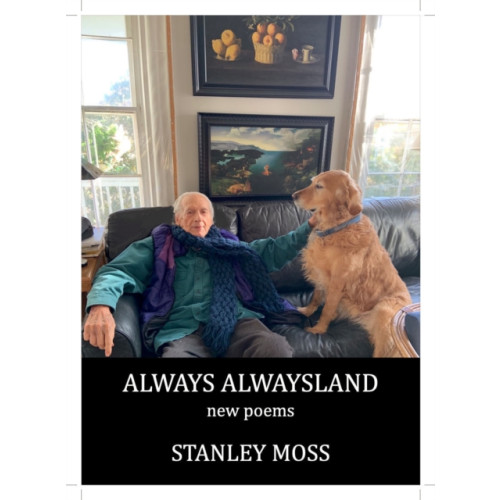 Seven Stories Press,U.S. Always Alwaysland (häftad, eng)